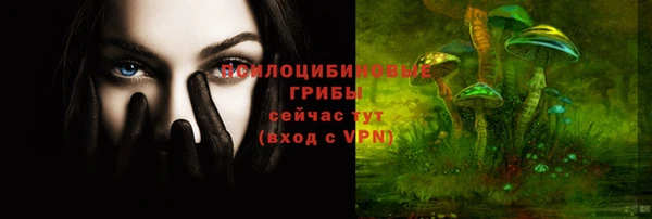 apvp Балабаново