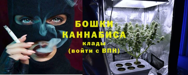 спайс Баксан