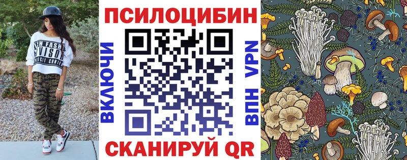 Галлюциногенные грибы мицелий  гидра сайт  Вольск  магазин продажи наркотиков 