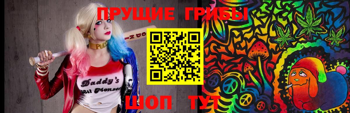 Вольск  наркота  Вход с VPN  Галлюциногенные грибы Magic Shrooms 